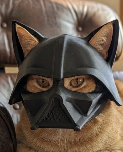 Darth vader style cat helmet - cat,